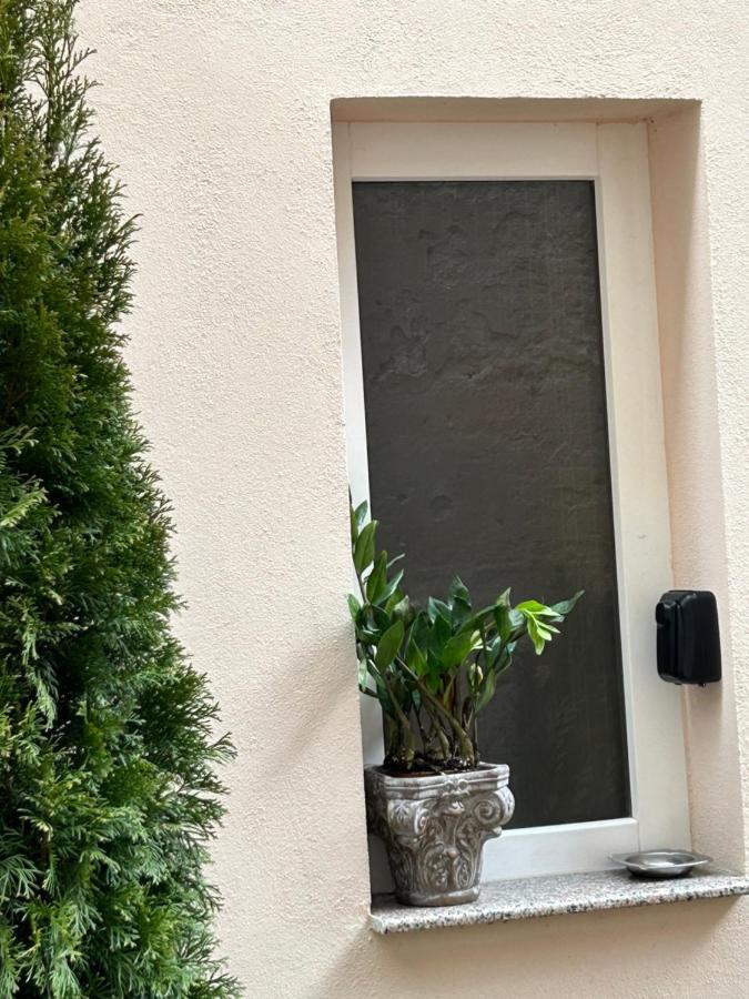 Schillerplatz Apartment Сибиу Екстериор снимка